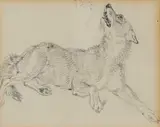 The Wolf Pencil 6 by Edwin Henry Landseer, Pencil, sold Mar 2025