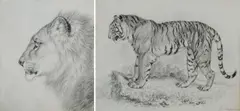 Study of the head of a lion by William Huggins, pencil, sold Mar 2025