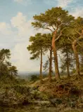 Surrey Pine trees Signed and dated B W LEADER 1905 by Benjamin Williams Leader, Oil on canvas, offered Mar 2025