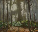 Sunlit clearing in a wood Signed H Charles Clifford by Henry Charles Clifford, Oil on canvas, sold Dec 2024