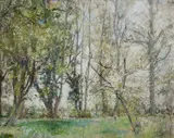Silvery poplars and willows in a meadow near Arles Signed with by Kate Elizabeth Olver, Oil on canvas, sold Dec 2024