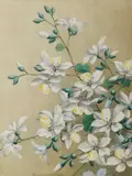 Bauhinia variegata by Thakur Ganga Singh, Pencil and watercolour heightened with white, sold Dec 2024