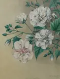 Hibiscus mutabilis by Thakur Ganga Singh, Pencil and watercolour heightened with white, sold Dec 2024