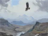 An eagle in flight over the Scottish Highlands Signed by John Cyril Harrison, Pencil and watercolour, sold Dec 2024