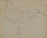 Cockerel Pen and ink 17 by Henri Gaudier-Brzeska, Pen and ink, sold Dec 2024
