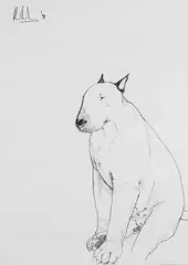 Bull-terrier Signed and dated Richardson '98 by Ray Richardson, Charcoal, sold Dec 2024