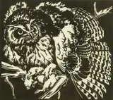 Eagle Owl Signed and inscribed Handdruck by Norbertine Bresslern-Roth, Linocut, sold Dec 2024