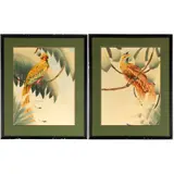 Water color/ by Shirrell Graves, gouache on paper.Two tropical birds.Signed l/r18in. x 24in. (46cm. x 61cm)Framed, offered Apr 2022