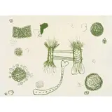 Untitled by Roy De Forest, Mixed media on paper.10/70Signed and, offered Apr 2022