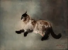 Cat by Kaiko Moti, etching with aquatint, sold Feb 2020