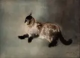 Cat by Kaiko Moti, etching with aquatint, sold Feb 2020