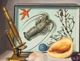 Still Life with Microscope and Nautical Elements by Charles Cerny, 1959, oil on canvas, sold Feb 2020