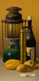Nature Morte by D. Noga, oil on panel, sold Feb 2020