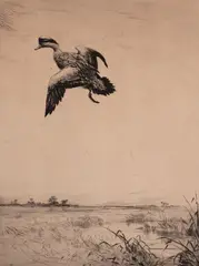 Duck Coming In by Roland Clark, etching, sold Feb 2020