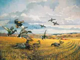 Fields of Gold by George Browne, 1993, lithograph, sold Feb 2020