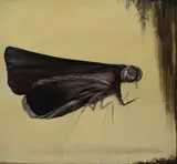 The Curtain by Shawn Spencer, 2004, oil on birch panel, sold Mar 2020