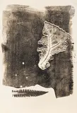 Feuille bilobée et feuille de fougère. Herbier by Dmitry Petrovitch Plavinsky, Monotype, sold Feb 2026