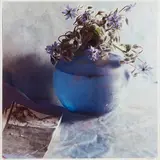Nature morte by Toni Catany, Photographie couleur, sold Dec 2021
