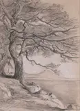 Pin en bord de mer by Paul Borel, Crayon et rehaut blanc sur papier, sold Jan 2026