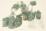 Philodendrons, c. 1990 by Sam Szafran, Aquarelle sur papier, sold Jun 2026