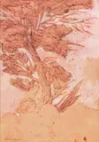 Etude d'arbre by Michel Moskovtchenko, Sanguine, plume et encre brune, rehauts de gouache blanche signée en bas à gauche, sold Sep 2024