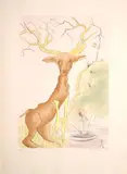 Le cerf se voyant dans l'eau by Salvador Dalí, Gravure à la pointe sèche sur vélin d'Arches rehaussée de couleurs au pochoir, sold Apr 2026