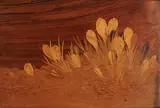 Sans titre by Émile Gallé, Panneau à vue rectangulaire en noyer à décor de crocus en marqueterie de bois d'essences d, sold Jun 2024