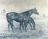 Jument et son poulain by Xavier de Poret, Lithographie signée en bas à droite et justifiée, sold Dec 2024