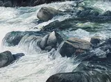 Riverscape #2, Yosemite by Ronald William Bolt, 2014, oil on board, sold Aug 2025