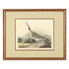 Great Esquimaux Curlew , Havell Edition by John James Audubon, Hand-colored engraving with etching and aquatint, sold Sep 2026