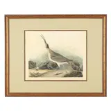 Great Esquimaux Curlew , Havell Edition by John James Audubon, Hand-colored engraving with etching and aquatint, sold Sep 2026