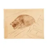 A Sleeping Cat by Théophile Steinlen, Sanguine on paper, sold Sep 2026