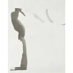 Ombres by Nikos Kessanlis, 1965, Photographie et photomontage contrecollé sur toile, sold May 2016