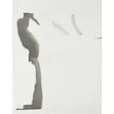 Ombres by Nikos Kessanlis, 1965, Photographie et photomontage contrecollé sur toile, sold May 2016