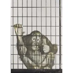 La scimmia, 1962/73 by Michelangelo Pistolletto, Sérigraphie sur inox, sold Dec 2015