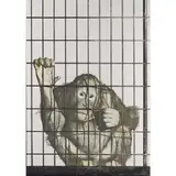 La scimmia, 1962/73 by Michelangelo Pistolletto, Sérigraphie sur inox, sold Dec 2015