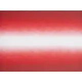 Shadow by Anish Kapoor, 2009, Aquatinte en couleurs, sold Dec 2015