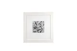 Willow Tree II by Joe Kievitt, 2002, charcoal and graphite on paper; paper size:, offered May 2020