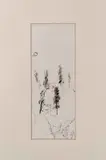 Tazza by Fernando Puma, Pen and ink on paper. Artist annotations on verso of mat board, offered May 2020