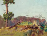 Forest Clearing by Frank Hans Johnston, oil on board, sold Dec 2020