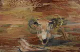 Sheep skull within an abstract surround by David Dridan, gouache, offered Aug 2025