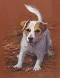 Coloured pastels on paper by Jennifer Buxton, drawing, offered Jul 2025