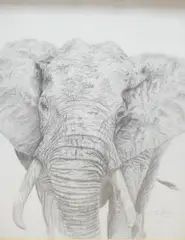 Within card by C.E Rich, pencil, offered Jul 2025