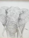 Within card by C.E Rich, pencil, offered Jul 2025