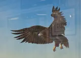 Depicting and eagle in flight by Mike Smith, acrylic on board, offered May 2025