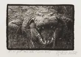 15-16 Foot Nile 'Dile [Crocodile by Peter Beard, print, sold May 2026