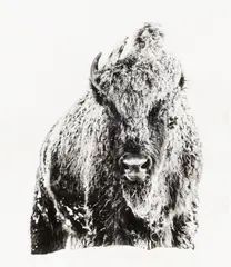 The Beast by David Yarrow, print, offered May 2026