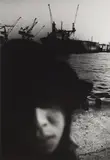 Stray by Daidō Moriyama, Silver gelatin print, printed, sold May 2026