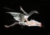 A Fool For Love by Derrick Santini, photograph, offered May 2026