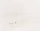 A Man Standing on an Island in the Middle of the River Shaanxi by Zhang Kechun, print, offered May 2026